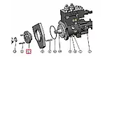 Фланец привода ТНВД Д-243-245 (с шпильками), кат. № 245-1006320-Г