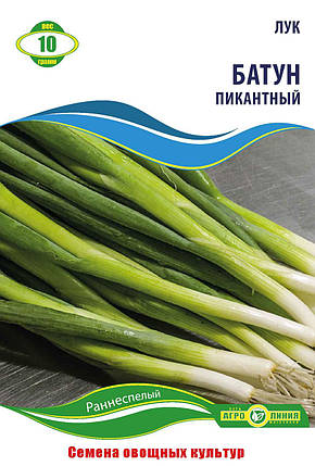 Насіння лука «Батун Пікантний» 10 г, фото 1