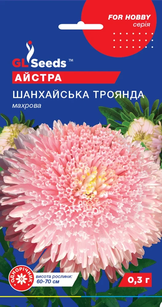 Насіння Астри Шанхайська троянда (0.3 г), For Hobby, TM GL Seeds