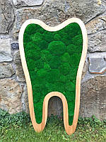 Декоративный зуб с мхом 1 м Декор в стоматологию Подарок стоматологу