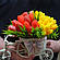 Букет квітів із мила ручної роботи  в кашпо, фото 3