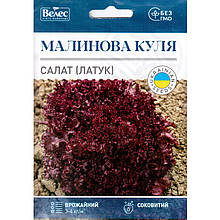 Насіння салату раннього «Малинова куля» (5 г) від ТМ «Велес»