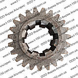 Шестерня ведуча первинного валу Т-150, z=23, 151.37.111, фото 2