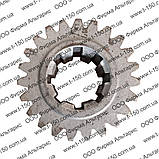 Шестерня ведуча первинного валу Т-150, z=23, 151.37.111, фото 5