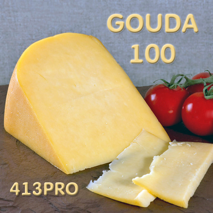 Закваска ГАУДА ЧИЗПРО 100 (10 шт. Х 10л)