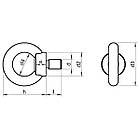 DIN 580 Рим болт оцинкований, фото 5