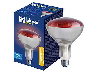 Лампа інфрачервона 250Вт Е27 R125 інд.упаковка ТМ Іскра BP