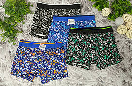Дитячі труси боксери р.L на 4-6 років для хлопчика бавовна Doni 3948