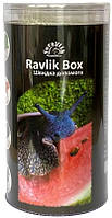 Корм для равликів ахатин RavlikBox Швидка допомога, 200г