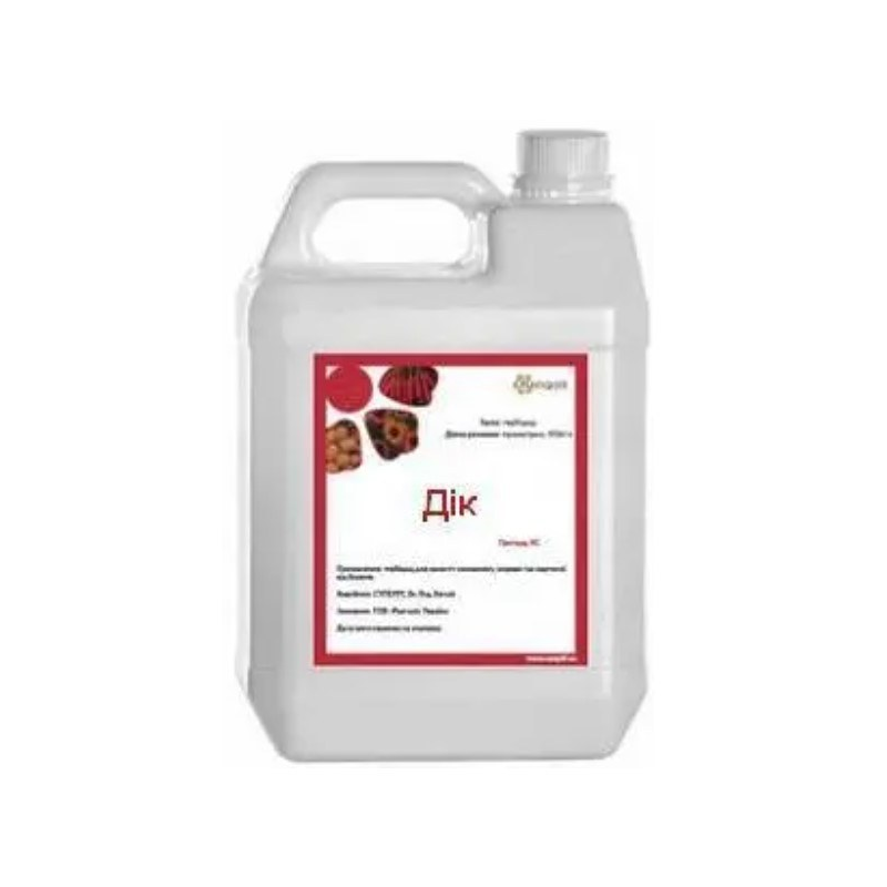 Гербіцид Дік Ранголі 5 л, фото 1