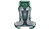 Рюкзак Deuter Futura 28 SL для жінок, вентиляція Aircomfort, колір 2247 seagreen-forest., фото 2
