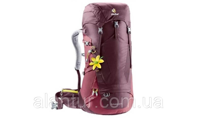 Рюкзак Deuter Futura 28 SL жіночий, бордовий, легкий, для походів та подорожей, фото 1