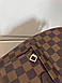 Жіночий Рюкзак Louis Vuitton Brown, фото 7
