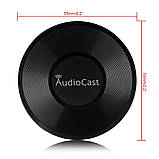 Аудіо модуль для створення мультирума AudioCast M5 Wi-Fi з підтримкою iOS і Android, фото 6