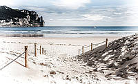Фото обои 3д с природой 254x184 см Красивый солнечный пляж (2282P4)+клей