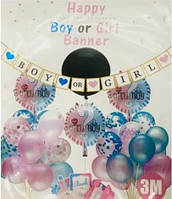 Гірлянда "Boy or Girl", англ, Гендер паті, Гирлянда "girl or boy."