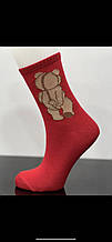 Шкарпетки з вишивкою Ведмедик червоний