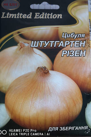 Цибуля Штутгартен Різен 10г., фото 1
