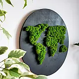 Панно для інтер'єрного декору з моху «Карта світу», P33, фото 4