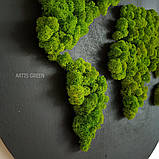 Панно для інтер'єрного декору з моху «Карта світу», P33, фото 3