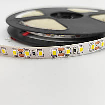 LED стрічка B-LED SMD2835 V2 120шт/м 9W/м IP20 12V 4000-4500K 14479, фото 2