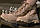 Пустунні черевики, берці армії США MilTec Speed Lace, фото 6
