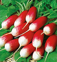Семена Редис " 18 дней" 300г высокоурожайный раннеспелый сорт (грунт,теплица,микрозелень) весовые семена