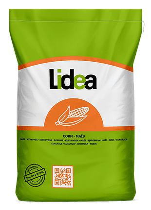 Кукурудза Мілорд P ФАО 380 Euralis, фото 1