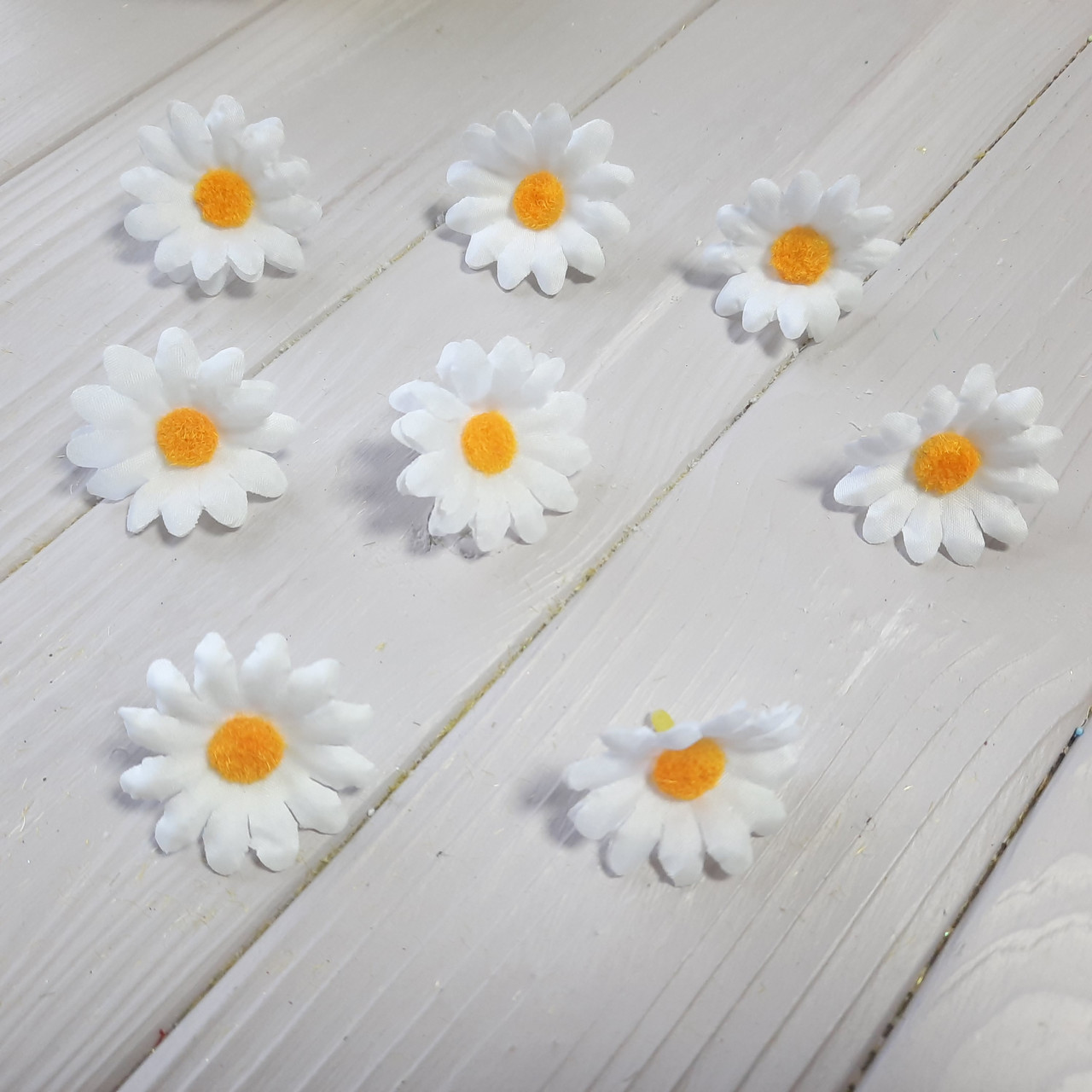 Ромашка матова біла (головка) 3.5-4 см, фото 1