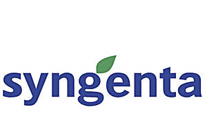 Singenta