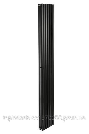 Дизайн радіатори Praktikum 2, H-1800 mm, L-275 mm Betatherm, фото 2