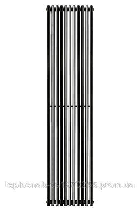 Вертикальний радіатор Praktikum 2, H-1800 мм, L-425 мм Betatherm, фото 2