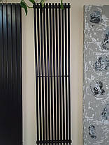 Вертикальний радіатор Praktikum 2, H-1800 мм, L-425 мм Betatherm, фото 3