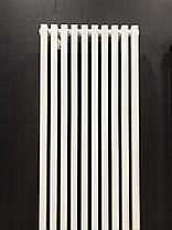 Вертикальний трубчастий радіатор BQ Quantum H-2000 мм, L-525 мм Betatherm, фото 3