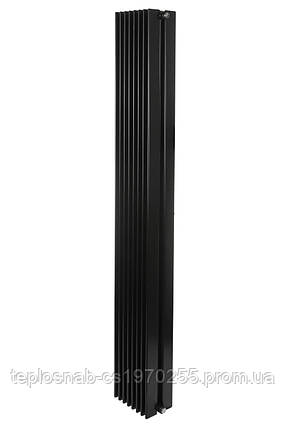 Вертикальний радіатор Betatherm Metrum2 H-1800 мм, L-255 мм, фото 2