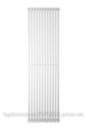 Вертикальний радіатор Betatherm Praktikum 2, H-2000 мм, L-539 мм, фото 2