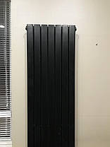 Вертикальний радіатор Blende 1 H-1400 мм, L-394 мм Betatherm (чорний, графітовий сірий), фото 2