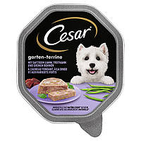 Консерви для собак CESAR Паштет "Крестьянський Рецепти" ягня, горох у соусі з травами 150 г