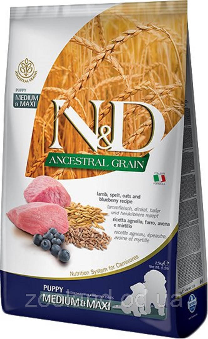 156379 Farmina N&D LG Puppy Medium&Maxi Ягня й Чорниця, 2,5 кг
