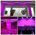 Фітосвітильник універсальний 9Вт 60см Т8 3PIN повний спектр для всіх рослин, фото 10