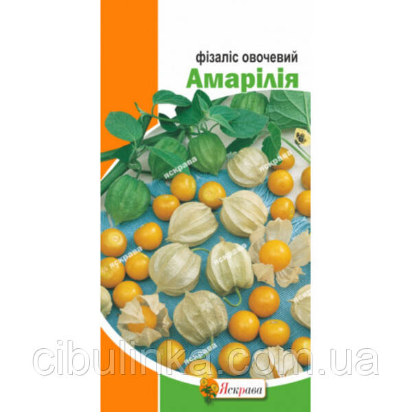 Фізаліс овочевий Амарілія Яскрава (Фасовка: 0.3 г), фото 1