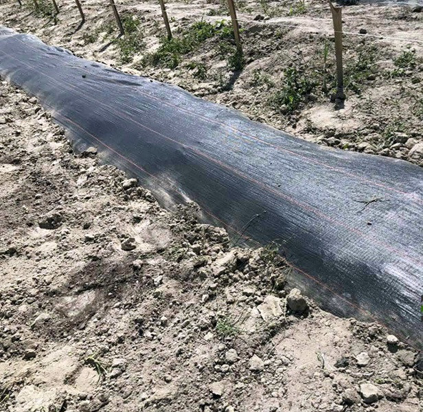 Агротканина проти бур'янів чорна UV, 90 гр/м2, розмір 0.4 х 100м, агротканина для полуниці