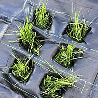 Агротканина Bradas 90 гр/м² 3,2м х 100м проти бур'янів чорна, для мульчування з розміткою