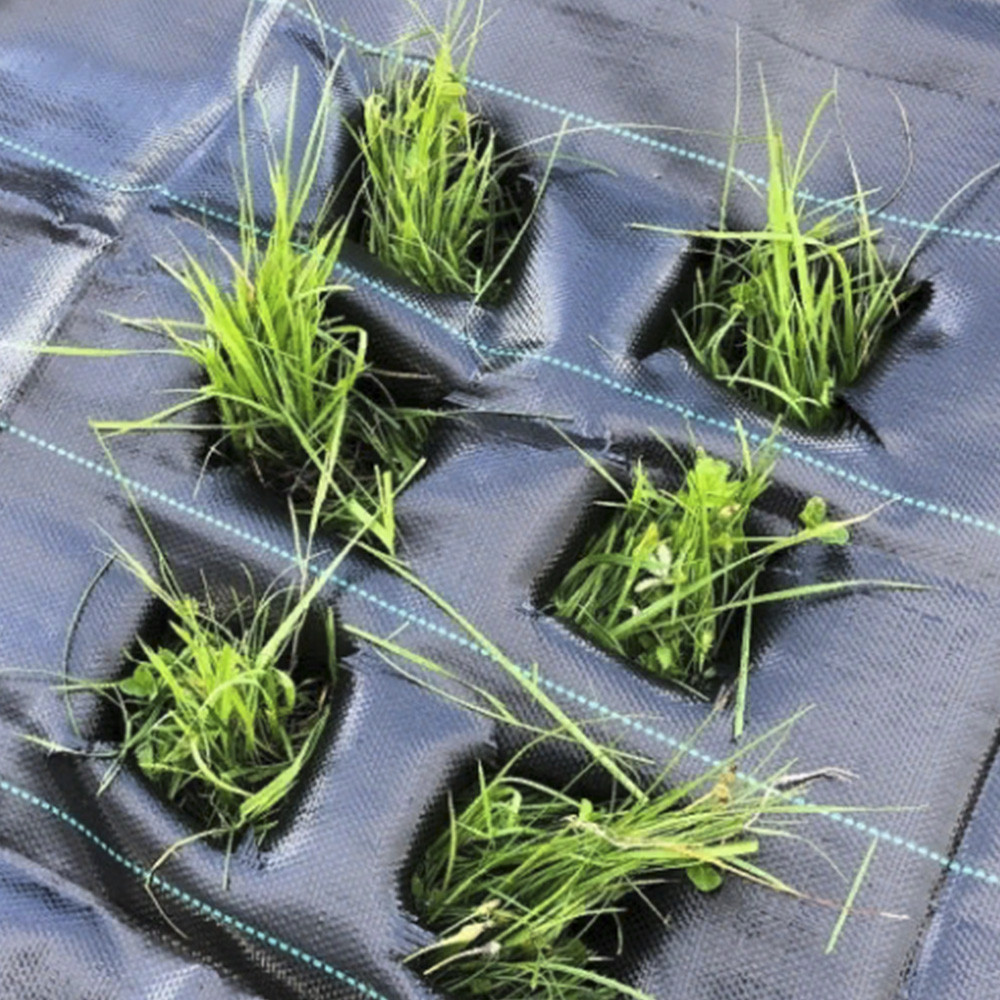 Агротканина Bradas 90 гр/м² 3,2м х 100м проти бур'янів чорна, для мульчування з розміткою, фото 1