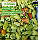 Насіння перцю Кантата F1, 500 насінин, Enza Zaden, фото 2