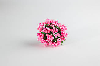 Додатки до квітів яскраво-рожеві "пилок"