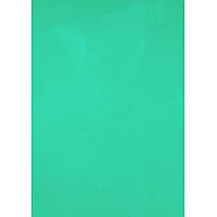 Обложки для брошюрования А4 "Axent" пластиковые 180 мкм прозрачные зеленые (50) №2720-04