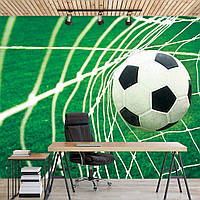 Флизелиновые 3д фотообои футбольное поле 312х219 см мяч в воротах (015VEXXL)+клей