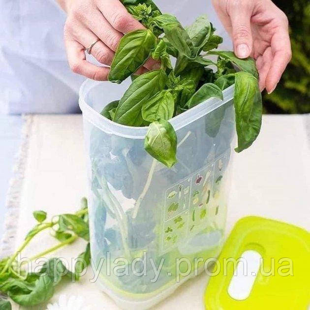 Умный Холодильник 3,2 Л Tupperware Высокий — Купить Недорого на Bigl.ua ...