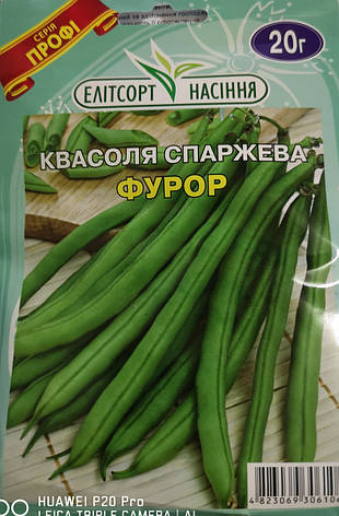 Квасоля спаржева Фурор 20г., фото 1